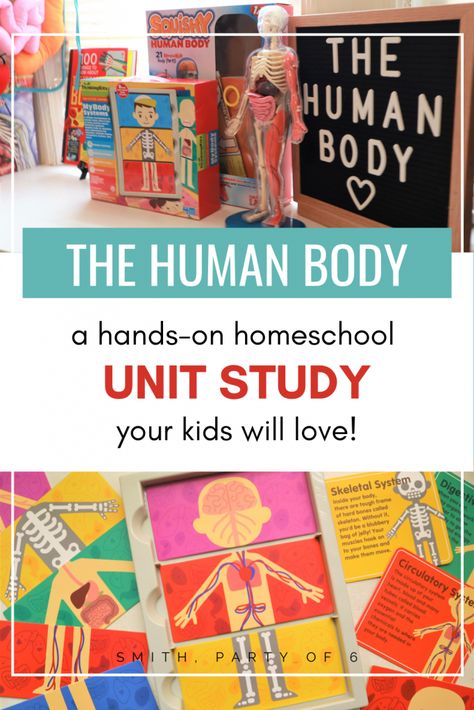 Human Body Science For Kindergarten, Human Body Project Preschool, Kindergarten Science Unit Studies, Kindergarten Human Body Unit, Human Body Homeschool Activities, Kindergarten Homeschool Unit Studies, Homeschool Nutrition Curriculum, Anatomy Unit Study, Human Body 1st Grade