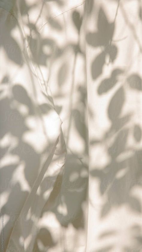 White Leaf Shadow Wallpaper, Light Aesthetic Pictures, White Fabric Aesthetic, Plant Shadow Aesthetic, Flower Shadow Aesthetic, Tree Shadow Photography, Shadow Photography Aesthetic, Fabrics Aesthetic, Of White Wallpaper