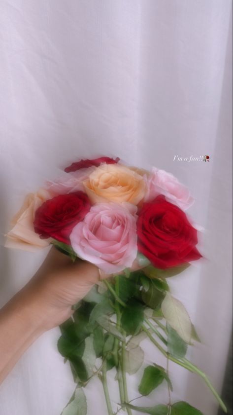 Fake Flowers Snap, Rose Bouquet Snap, Ahmedabad Snap, Rose Snap, Flower Bokeh, Flowers Snap, Diy Fairy Door, Basic Aesthetic, File Decoration Ideas