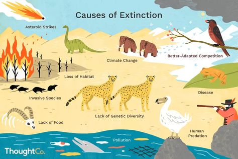 Top 10 Reasons Why Plants and Animals Go Extinct Extinction Of Species, Animal Extinction, Environmental Posters, Species Extinction, History Of Earth, United Nations Environment Programme, Conservation Art, Powerpoint Background, Nuclear Energy