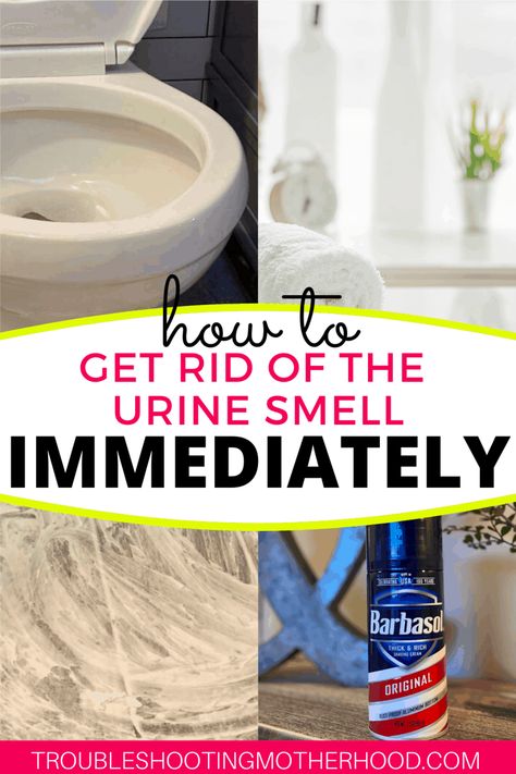 Wondering how to remove the horrible urine smell from your bathroom? Follow this quick guide on how to finally get the pee smell our of your bathroom once and for all! Quick trick for cleanup too! #stinkybathroom #boymom #peesmell #urinesmell #bathroomstinks How To Get Rid Of Urine Smell In Toilet, Cleaning Urine Smell From Bathroom, How To Get Urine Smell Out Of Bathroom, How To Remove Urine Smell From Bathroom, How To Get Rid Of Pee Smell In Bathroom, Get Rid Of Urine Smell In Bathroom, How To Get Pee Smell Out Of Bathroom, How To Get Rid Of Urine Smell In House, Pee Smell Out Of Bathroom