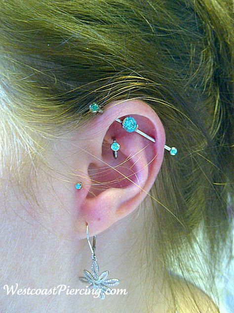 industrial + rook + tragus. what I'm planning to do. Double Tragus, Stretched Lobes, Industrial Piercing, Piercing Ideas, Tragus Piercings, Ear Candy, Ear Piercing, Body Modifications, Body Mods