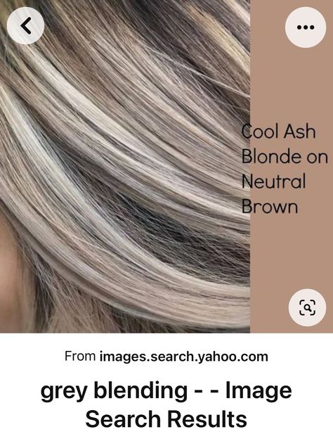 Platinový Blond, Grey Transition, Cool Ash Blonde, Ash Blonde Hair Colour, Chunky Highlights, Long Shag, Ash Blonde Highlights, Ashy Blonde, Blond Balayage