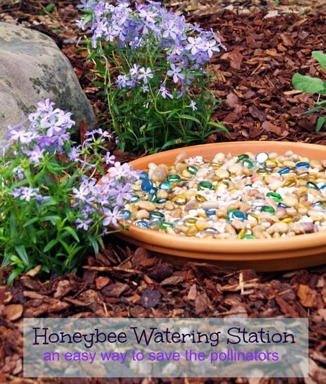 DIY Bee Watering Station | Turning The Clock Back Easy Garden Diy, Mason Bee House, Bee Friendly Flowers, Backyard Kids, Bee Friendly Garden, Mason Bees, Water Station, Bee House, Bee Garden