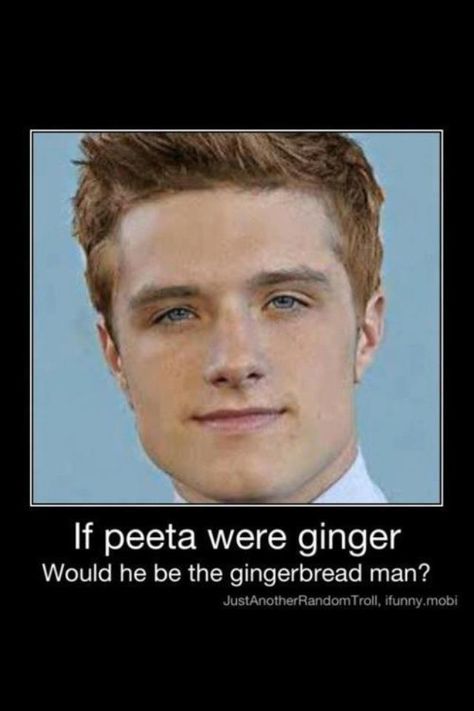 Gingerbread man? lol Lost In Books, Hunger Games Jokes, Hunger Games Memes, Hunger Games Quotes, Hunger Games Fandom, Hunger Games Humor, Hunger Games 3, Peeta Mellark, Hunger Games Catching Fire