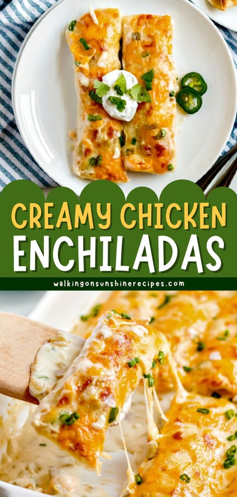 Non Spicy Chicken Enchiladas, Enchiladas Chicken White Sauce, Meal Ideas For Dinner Chicken, Cheesy Chicken Enchilada Recipe, Chicken And Enchiladas, Easy White Chicken Enchilada Recipe, Chicken Enchiladas Easy White Sauce, Best Ever Chicken Enchiladas, Chicken Enchilada White Sauce