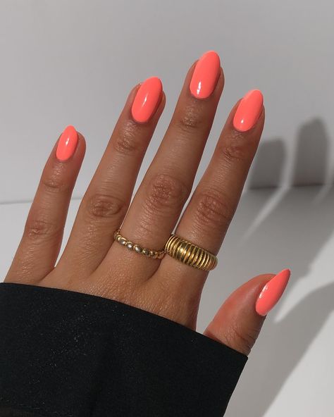 Coral Fusion🪸🐠 Tried @w7makeupuk nail polishes for the first time and they have the brush and formula I look for in any good polish💪😃 And this colour is so bright (3 coats) and I love it!! Absolutely perfect for summer, including a little summer pedi🪩🤩 #coralnails #brightnails #coralnailpolish #coralnails💅 #coralnail #brightpinknails #w7makeup Fall Acrylic Nails One Color, Fall Colorful Nails, Cute Coral Nails, Tennessee Orange Nails, Orange Hoco Nails, Solid Color Nail Designs, Bright Orange Nails With Design, Cute Bright Nails, Coral Orange Nails