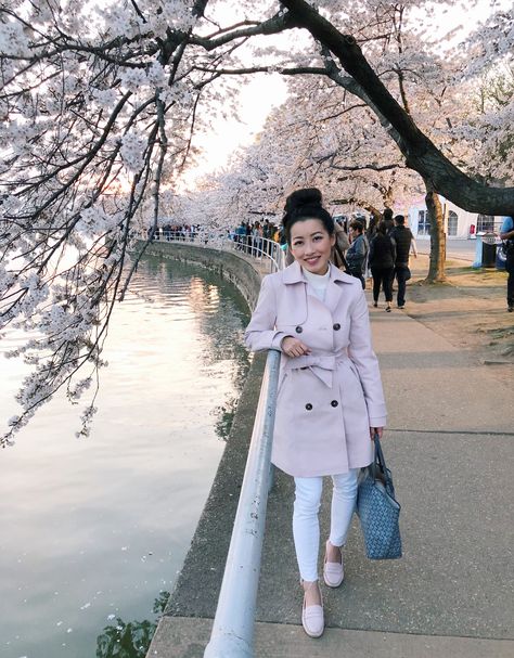 blush pink trench coat mgemi felize pastoso loafers travel outfit Washington Dc Outfit, Dc Outfits, Washington Dc Fashion, Dc Fashion, Pink Trench Coat, Stylish Petite, Extra Petite, Washington Dc Travel, Dc Travel