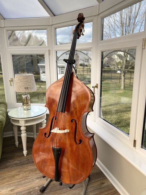 Bass Orchestra Aesthetic, Upright Bass Aesthetic, Double Bass Aesthetic, Double Bass Art, Bass Orchestra, Cello Instrument, Bass Aesthetic, Bass Instrument, Bass Violin