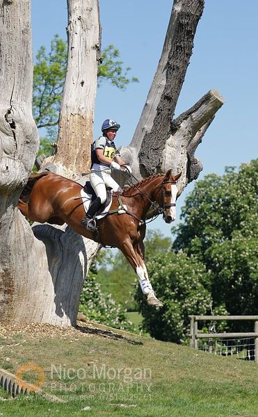 Eventing Cross Country, Cross Country Jumps, Horse Trials, Eventing Horses, Wilde Westen, Private Home, All The Pretty Horses, Horse Crazy, Horse Jumping