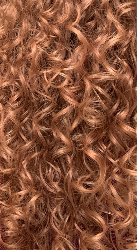 Blonde Red Curly Hair, Copper Blonde Hair Curly, Curly Hair Dye Ideas Ginger, Naturally Curly Strawberry Blonde Hair, Natural Red Highlights In Brown Hair Curly, Honey Colored Curly Hair, Strawberry Blonde On Curly Hair, Strawberry Blonde Hair Curly Natural, Copper Strawberry Blonde Curly Hair