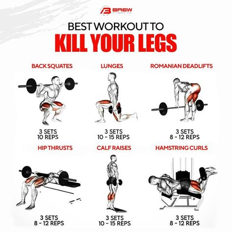 There should be no excuse to skip the leg day. Feel the burn in your legs with this particular workout. Then, share in the comments below how you fared against this leg day. #brewfitnessco #homegym #freeweights #yogaequipment #trainingaccessories #sportswear #gymequipment #gymmotivation Heavy Leg Workout, Leg Day Workout At The Gym, Bigger Legs Workout, Leg Workouts For Men, Full Leg Workout, Leg Workouts Gym, Leg Day Workout, Workout Gym Routine, Gym Workout Guide