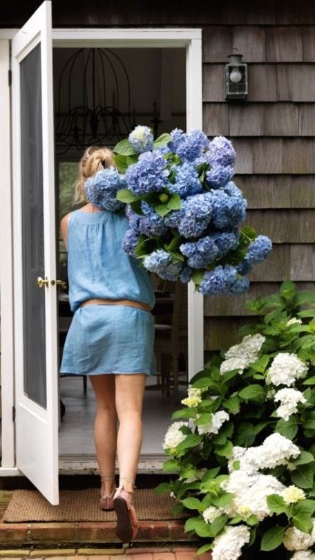 Need lots of hydrangeas - love :) Hamptons Cottage, A Bunch Of Flowers, Vogue Living, Vogue Australia, Blue Hydrangea, Bunch Of Flowers, Beautiful Blooms, Flower Child, Love Flowers