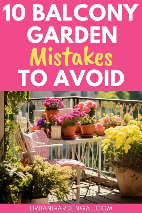 balcony garden mistakes Potted Balcony Garden, Small Garden Balcony Ideas, Hanging Plants For Balcony, Best Plants For Balconies, Easy Balcony Plants, West Facing Balcony Plants, Shaded Balcony Garden, Garden In Balcony Apartments, Shady Balcony Garden