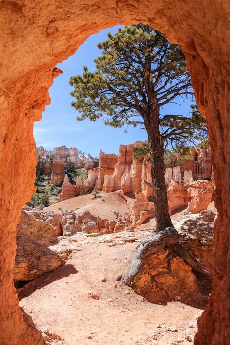 Big Cottonwood Canyon Utah Photography, Utah Canyons, Great Canyon, National Park Road Trip, Utah Usa, Bryce Canyon National Park, Bryce Canyon, Hiking Trail, Us National Parks