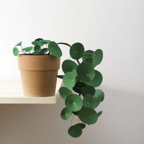 Paper Plants Diy, Abat-jour Diy, Plant Diy, Tanaman Indoor, Paper Blog, Plant Crafts, Cactus Diy, Green Craft, Chinese Money Plant