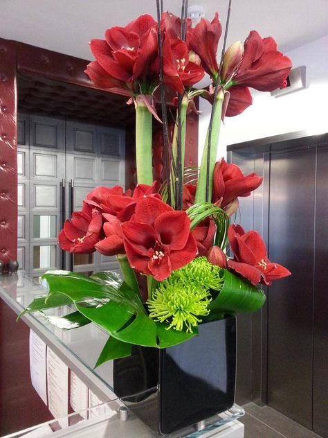 Amaryllis Bouquet, Amaryllis Arrangement, Amaryllis Christmas, Hotel Flower Arrangements, Williamsburg Christmas, Christmas Flower Decorations, Red Amaryllis, Tropical Flower Arrangements, Hotel Flowers