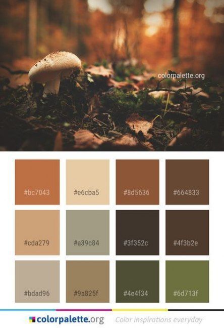 Trendy colours Home Color Schemes Interior, Home Color Schemes, Rustic Color Palettes, Earthy Palette, Vintage Colour Palette, Colors Inspiration, Pintura Exterior, Color Schemes Colour Palettes, House Color Schemes