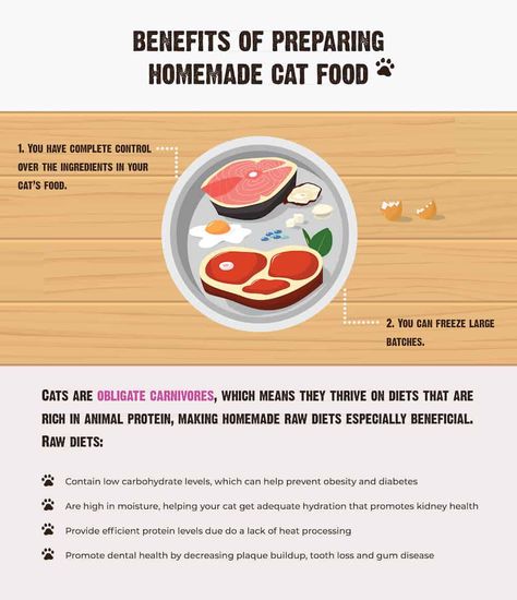 Homemade Cat Food: Benefits, Tips & How to Get Started  | RAWZ Homemade Raw Cat Food, Raw Cat Food, Raw Cat Food Recipes, Homemade Cat Food, Food Benefits, Cat Nutrition, Cooking Homemade, Homemade Cat, Healthy Cat