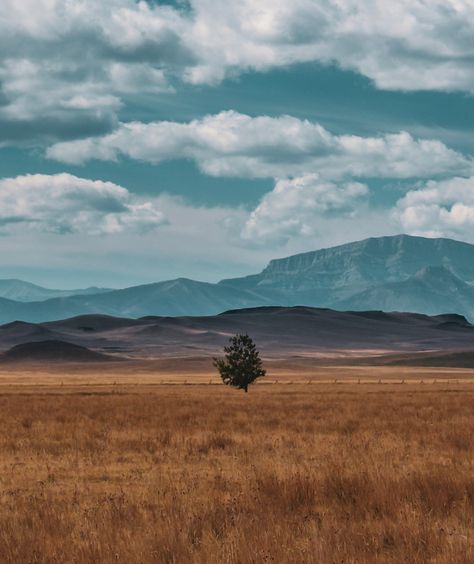 American Landscape Photography, Alberta Prairie, Yellowstone Aesthetic, Prairie Photography, Wyoming Aesthetic, Western Nature, Yellowstone National Park Photography, Prairie Aesthetic, American Prairie