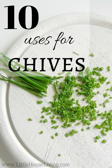 10 wonderful uses for chives. You need to check these out if you have an herb garden! Chives Recipe, Chives Plant, Garlic Chives, Herb Recipes, Herbs For Health, Garden Recipes, Fresh Chives, Growing Herbs, Spice Mixes