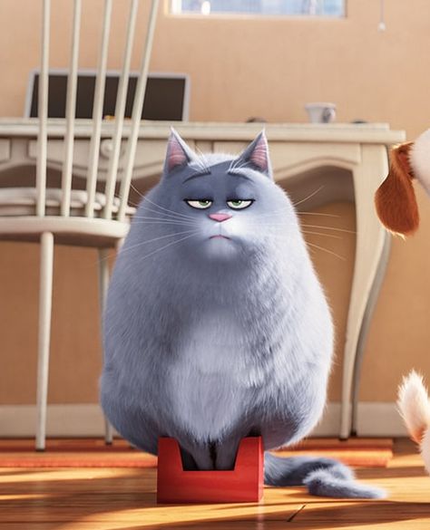 HELP US: What Color is Chloe the Cat from The Secret Life of Pets? Secret Life Of Pets, Purple Cat, 2 Movie, Secret Life, Dear God, Life Changes, The Secret, Chloe