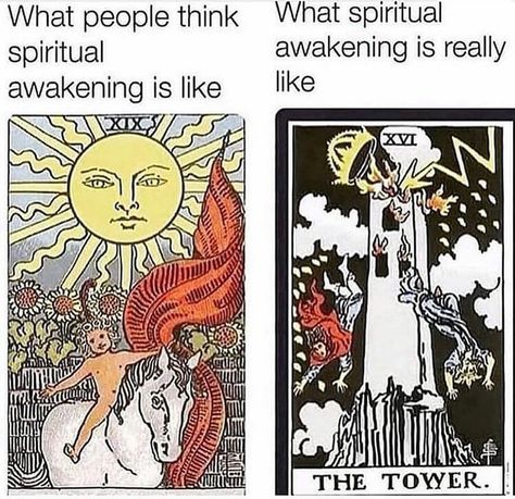 Witch Jokes, Funny Spiritual Memes, Witch Meme, Magic Memes, Love Truths, Spiritual Thoughts, Baby Witch, Tarot Learning, Tarot Card Meanings