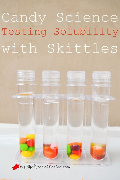 Skittles Experiment, Candy Science Experiments, Candy Experiments, Science Fair Projects Boards, Candy Science, Hello Wonderful, Science Anchor Charts, Easy Science Experiments, Science Activities For Kids