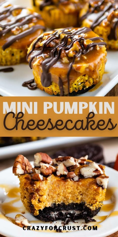 Caramel Pecan Topping, Pumpkin Cheesecake Cupcakes, Turtle Pumpkin, Pumpkin Cheesecakes, Pumpkin Cheesecake Muffins, Cheesecake Caramel, Dessert Charcuterie, Mini Pumpkin Cheesecake, Mini Turtle