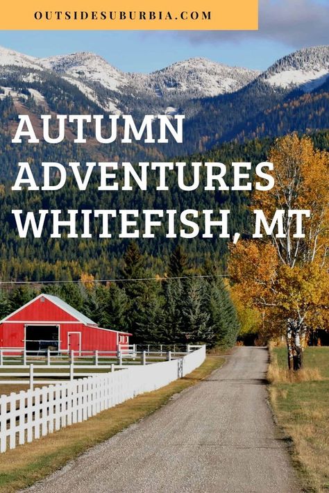 I recently visited Whitefish Montana. Here is the scoop on all the amazing things to do in Whitefish Montana and why I fell in love with their secret season (Hint - the Larches!). See the post for hotel and restaurant recommendations for Whitefish, the ski town in Montana that has year around adventures.  #Whitefish #FallGetaway #MontanaGetaway #USAVacations #OutsideSuburbia #MontanaMoment Montana Travel, Whitefish Montana, Usa Destinations, Globe Travel, Fall Getaways, Ski Town, Central America Travel, Minimalist Travel, Travel Winter