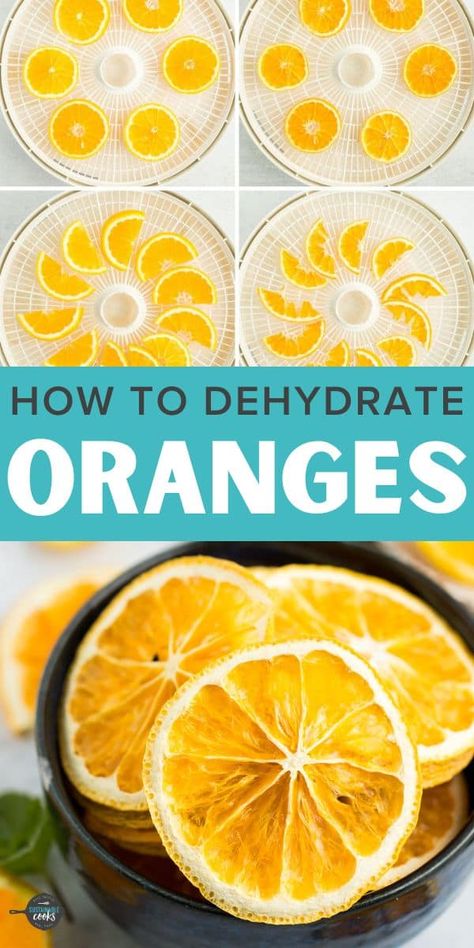 Learn all about making dehydrated orange slices in a food dehydrator or an oven. Dehydrating oranges is a simple project for adults and kids and makes amazing additions to sweet and savory dishes and crafts. Best Dehydrated Fruit, Orange Dehydrator Recipes, Dehydrate Food In Oven, Dehydrated Fruit In Dehydrator, What Can You Make In A Dehydrator, Dehydrated Gift Ideas, Dehydrating Fruits In Dehydrator, Dehydrating Oranges In Dehydrator, Dehydrated Mandarin Oranges