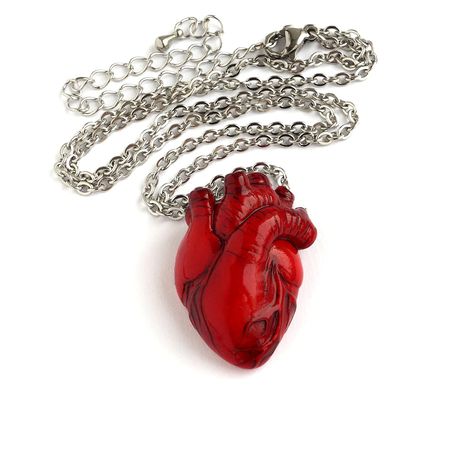 Handmade item ♥
This realistic anatomy pendant is a perfect gift for a doctor, paramedic, cardiac surgeon, nurse or medical student.
The size of a heart is about 1.3*1 inches (3.2*2.4 cm). The length of the necklace is adjustable from 18 to 21 inches.
Material: polymer clay, stainless steel. Human Heart Necklace, Halloween Valentines Day, Anatomical Heart Pendant, Anatomically Correct Heart, Halloween Valentines, Heart Bottle, Anatomical Heart Necklace, Valentinstag Party, Medical Student Gift