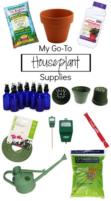 Here's a list of go-to houseplant supplies for your every day needs - Clever Bloom Houseplant Supplies, Diy Homewares, Rose Bush Care, Apartment Gardening, Plant Inspiration, Succulent Ideas, Air Purifying House Plants, Black Thumb, Tiny Garden