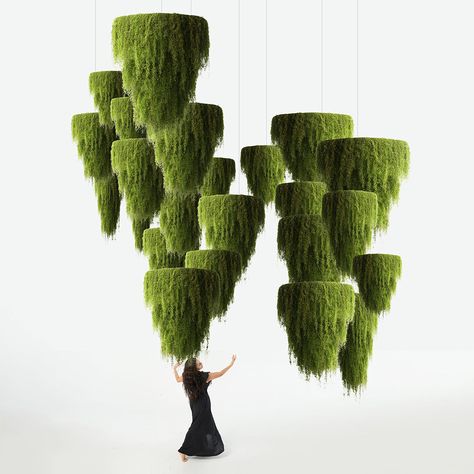 Our moss chandeliers will allow you to incorporate the beauty and magic of nature into your home or business. Spanish Moss represents nature in its most organic and relaxed form. Despite its name, Spanish Moss is a bromeliad. Moss brings the calmness and peace of the forest into your life. Its silence allows you to hear your inner voice. Our moss chandeliers do not include lighting or electrical wiring, they are hanging metal structures with decorative moss. Disclaimer: The Spanish Moss used to Spanish Moss Decor, Moss Chandelier, Business Spanish, Moss Wedding, Plant Installation, Moss Decor, Branding Session, Old Room, Spanish Moss