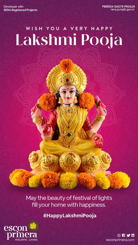 Lakhi Puja, Laxmi Puja, Goddess Laxmi, Good Morning Images Download, Color Wallpaper Iphone, Color Wallpaper, The Blessing, Holistic Living, Creative Posters