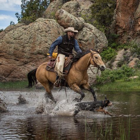 Cowboys And Horses, Cowboys On Horses, Cowboy Reference, Cowboy Riding Horse, Cowboy And Horse, Cowboy Draw, Cowboy On Horse, Arte Cowboy, Horse Senior Pictures