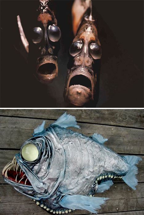 Hatchetfish - doté de propriétés bioluminescentes, qui lui permettent d'échapper aux prédateurs qui rôdent dans les profondeurs Jeronimus Bosch, Scary Fish, Deep Sea Life, Weird Sea Creatures, Creepy Animals, Photo Animaliere, Scary Animals, Deep Sea Creatures, Weird Fish