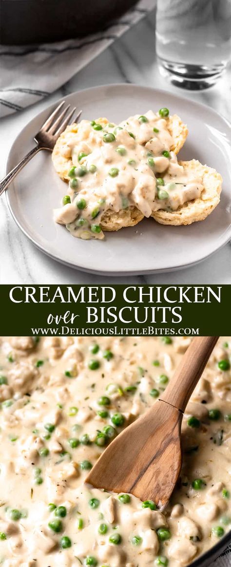 Creamed Chicken Over Biscuits, Chicken Over Biscuits, Creamed Chicken, Homemade Chicken Gravy, Cream Chicken Recipes, Gravy And Biscuits, Chicken Gravy Recipe, Thanksgiving Leftover Recipes, Chicken And Biscuits