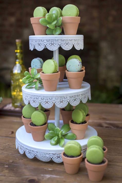 Kara's Party Ideas Rustic Garden Birthday Party | Kara's Party Ideas Desert Party, Succulent Theme, Garden Birthday Party, Plant Party, Fiesta Theme Party, Llama Birthday, Cactus Party, Fiesta Tropical, Garden Party Birthday