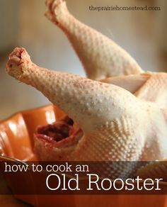 how to cook a tough old rooster or laying hen and turn it into flavorful soups and stock! Homestead Hacks, The Prairie Homestead, Prairie Homestead, Laying Hens, Cooked Chicken, Chicken Soup Recipes, Whole Chicken, Chicken Eggs, Raising Chickens