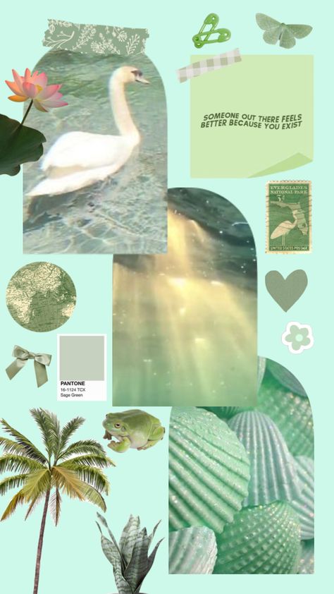 #seafoam #seafoamgreen #green #seafoamgreenaesthetic #seafoamaesthetic #greenaesthetic #eviehen #vibes #nature #lightgreen #pastelgreen Seafoam Green Wallpaper, Everglades National Park, Green Wallpaper, Pastel Green, Seafoam Green, Green Aesthetic, Sea Foam, Feel Better, Connect With People