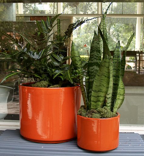 love these. if only i were good at container gardening. Orange Plant, Planters For Sale, Retro Renovation, Vintage Revival, Planter Design, Modern Planters, Home Landscaping, Ceramic Pots, Vintage Planters