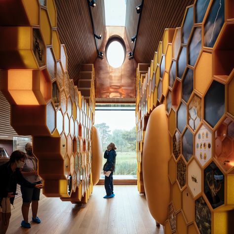 invisible studio's beezantium is a new home for bees in somerset Apiary Design, Oak Interior, Clad Home, Shaped Windows, Bee Hotel, Oval Window, Studio Build, Bee House, Picture Window