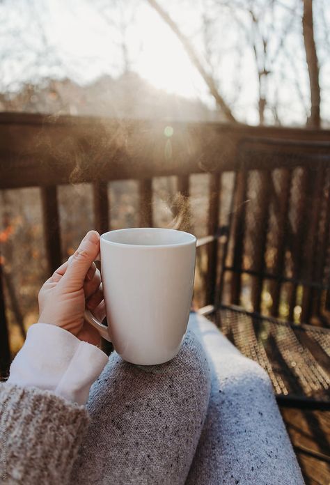 Morning Coffee Photography, Coffee Cup Photo, Coffee Shop Logo, Coffee Shop Aesthetic, Garden Coffee, Coffee Pictures, Coffee Photos, Coffee Photography, Aesthetic Coffee