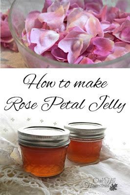 Rose Petal Jelly Recipe, Rose Petal Recipes, Rose Petal Uses, Eating Flowers, Rose Jelly, Rose Petal Jam, Diy Jelly, Edible Flowers Recipes, Jam Recipes Homemade