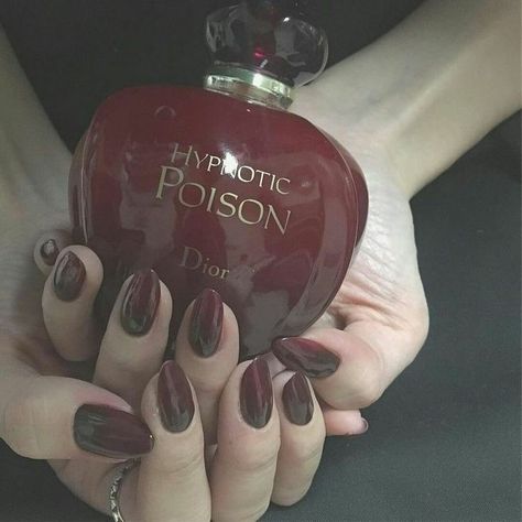 Modern Vampires, Cherry Wine, Romantic Goth, Red Icons:), Dark Feminine Aesthetic, Gothic Aesthetic, Feminine Aesthetic, Red Aesthetic, Cherry Red