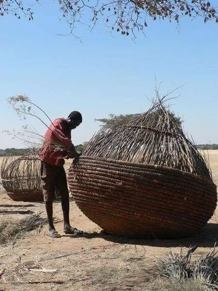 Treasures: Weaving the World Together – Wyld Basket Weaver, Willow Weaving, Afrique Art, Art Premier, Vernacular Architecture, Cultural Architecture, African Baskets, Art Africain, Weaving Art