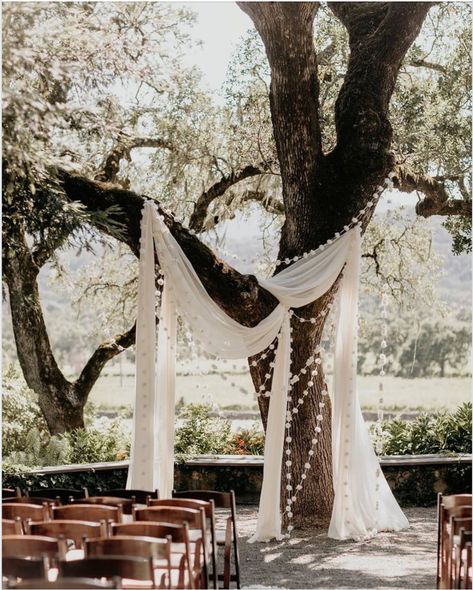 Fabric On Trees Wedding, Tree Draping Wedding, Wedding Ceremony Tree Decor, Wedding Arch Tree, Unique Wedding Arch Ideas, Tree Wedding Ceremony, Wedding Alters, Oyster Bar, Outdoor Wedding Decorations