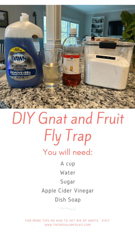 How To Attract And Kill Nats, How To Catch And Kill Nats, Home Remedy To Get Rid Of Nats, Diy Get Rid Of Gnats, Catching Gnats In House, Recipe To Get Rid Of Gnats, Homemade Gnat Killer, Mosquito Traps Diy How To Make, Gnat Traps Homemade