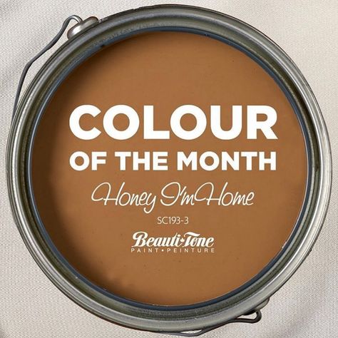 Strathmore Home Hardware on Instagram: “Fall in love with our Color Of The Month - Honey I’m Home 🍯 . . . Get the cozy look of leather cognac with warm amber hues for a fraction 💵…” Limosine Leather Behr, Cognac Paint Color, Cinnamon Paint Colors, Color Of The Month, Copper Interior, Brown Decor, Painted Walls, Brown Home Decor, Room Paint Colors